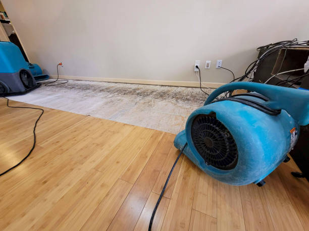 Professional Basement Flood Cleanup technician working in Greenville, MS